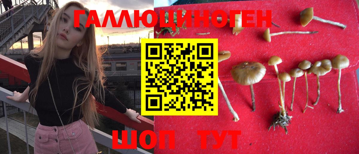 Галлюциногенные грибы мицелий  Галлюциногенные грибы GOLDEN TEACHER  Вход с VPN  Усть-Илимск 