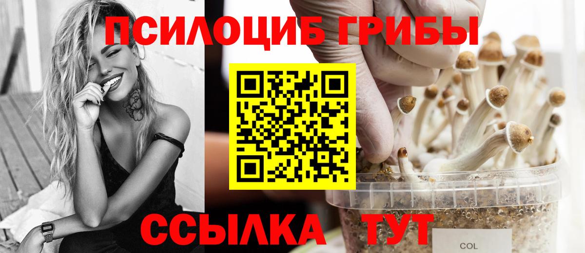 Псилоцибиновые грибы мицелий  Усть-Илимск 