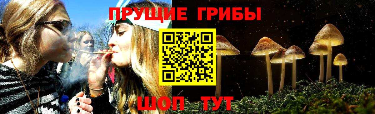 Псилоцибиновые грибы GOLDEN TEACHER Усть-Илимск